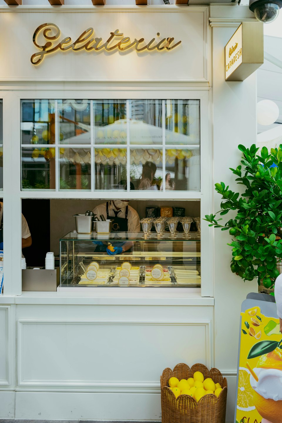 Gelato display counter with lemons and a potted plant.
